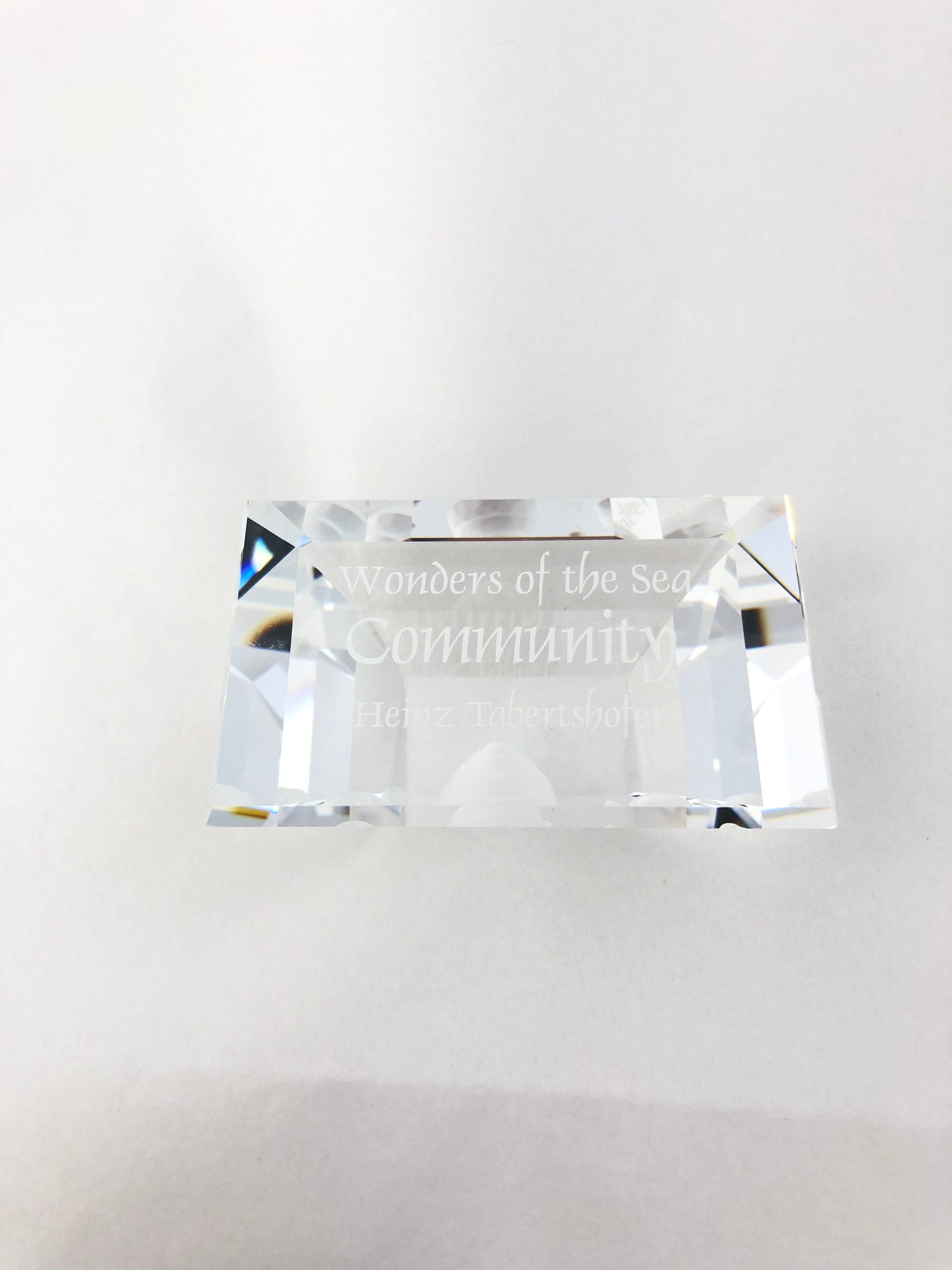 SWAROVSKI  - 2007 Community Plaque (4070)