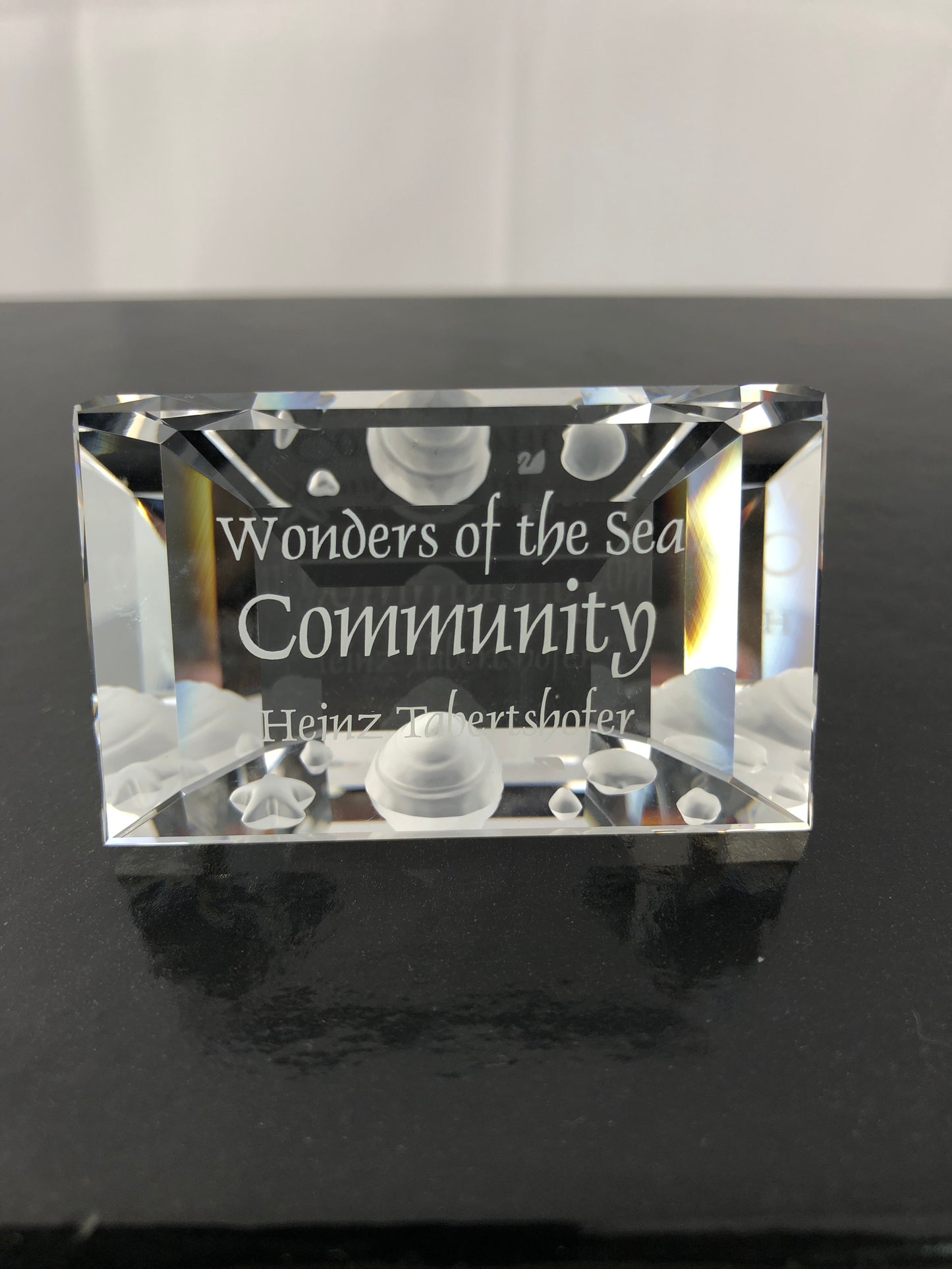 SWAROVSKI  - 2007 Community Plaque (4070)