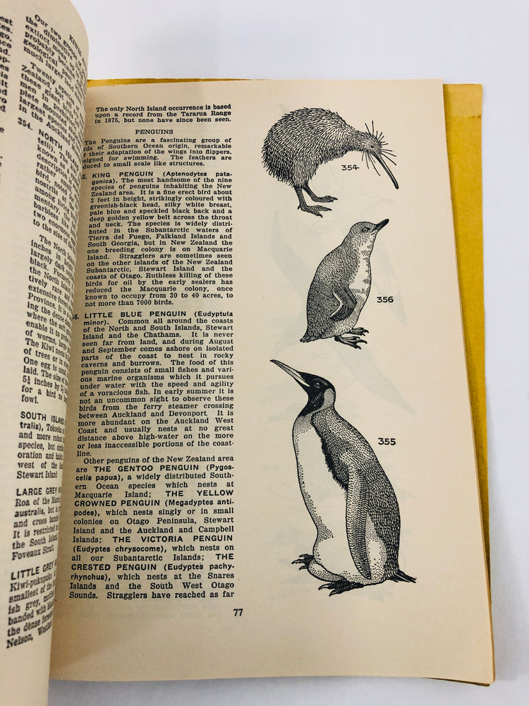 
                  
                    1947 - Auckland Museum Handbook of Zoology (21578)
                  
                