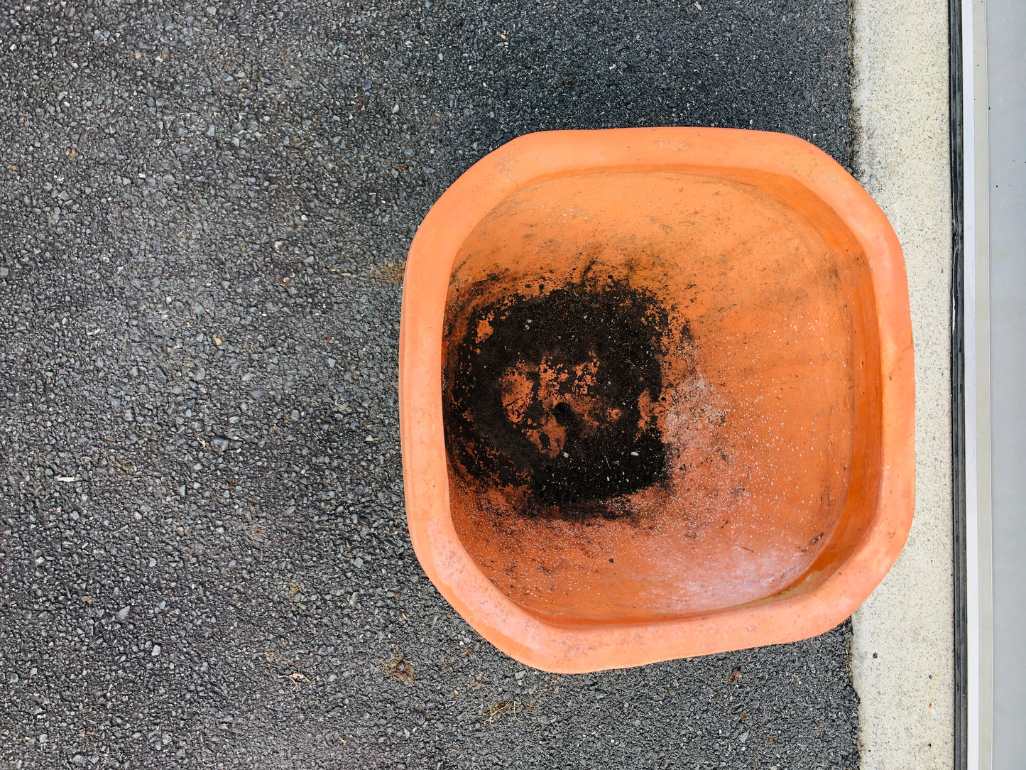 
                  
                    Terracotta Pot (20943)
                  
                