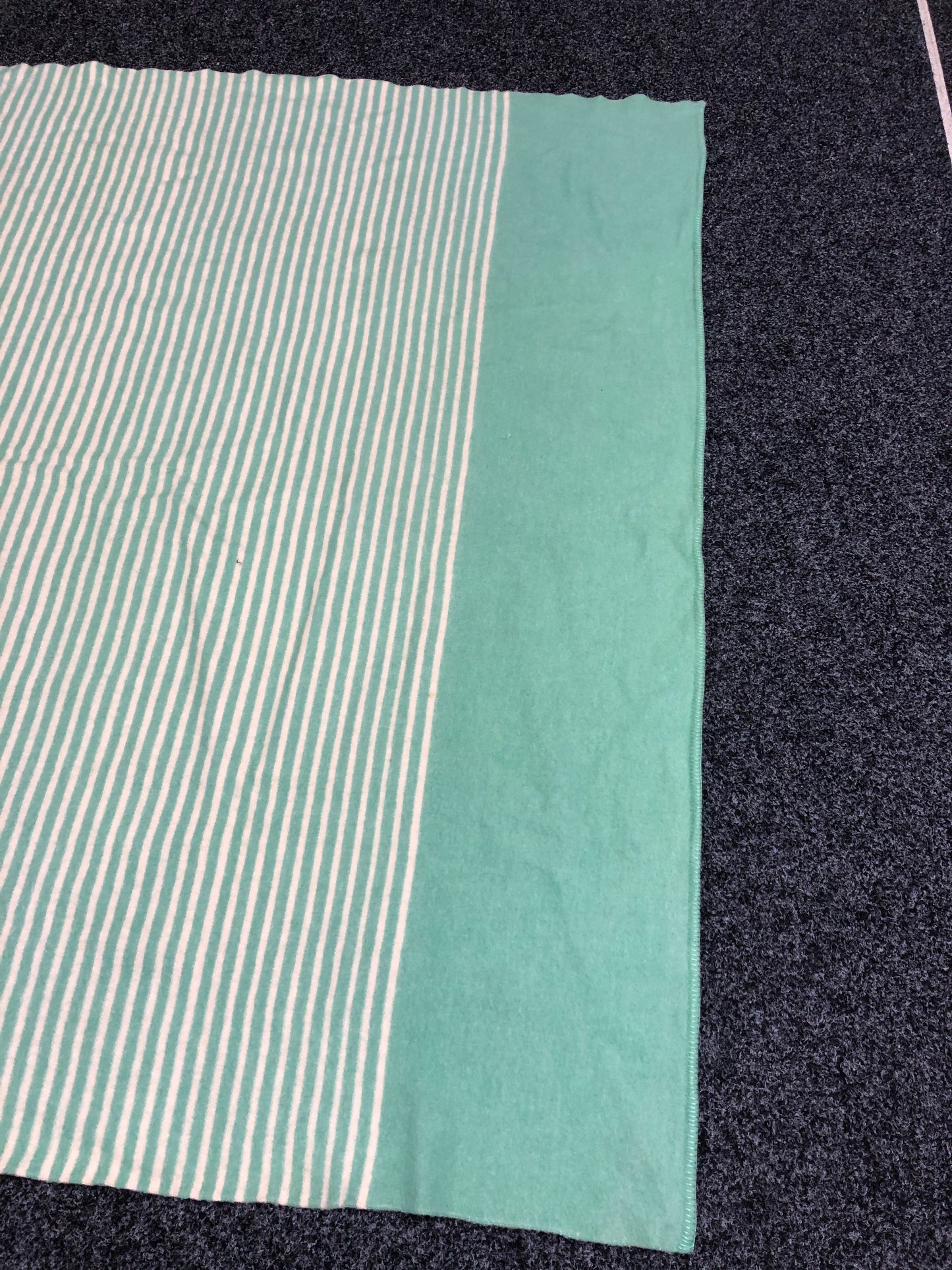 
                  
                    Robinwul 100% Wool Blanket - Single (21407)
                  
                