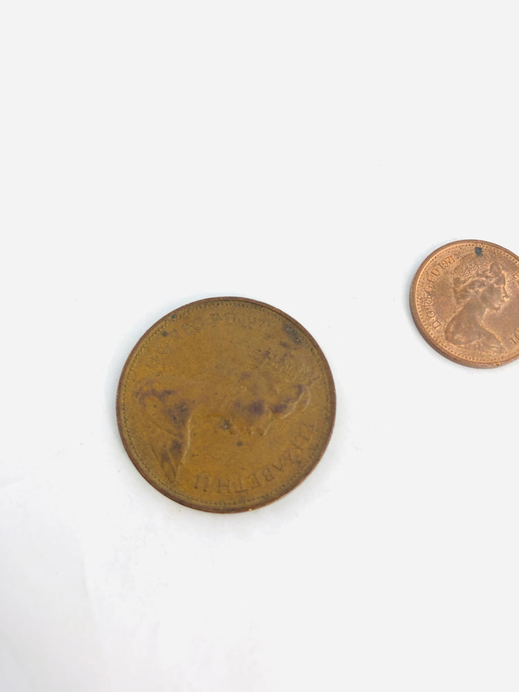 
                  
                    1971 New 2 Pence & New Penny - Change to Decimal Coins (21736)
                  
                