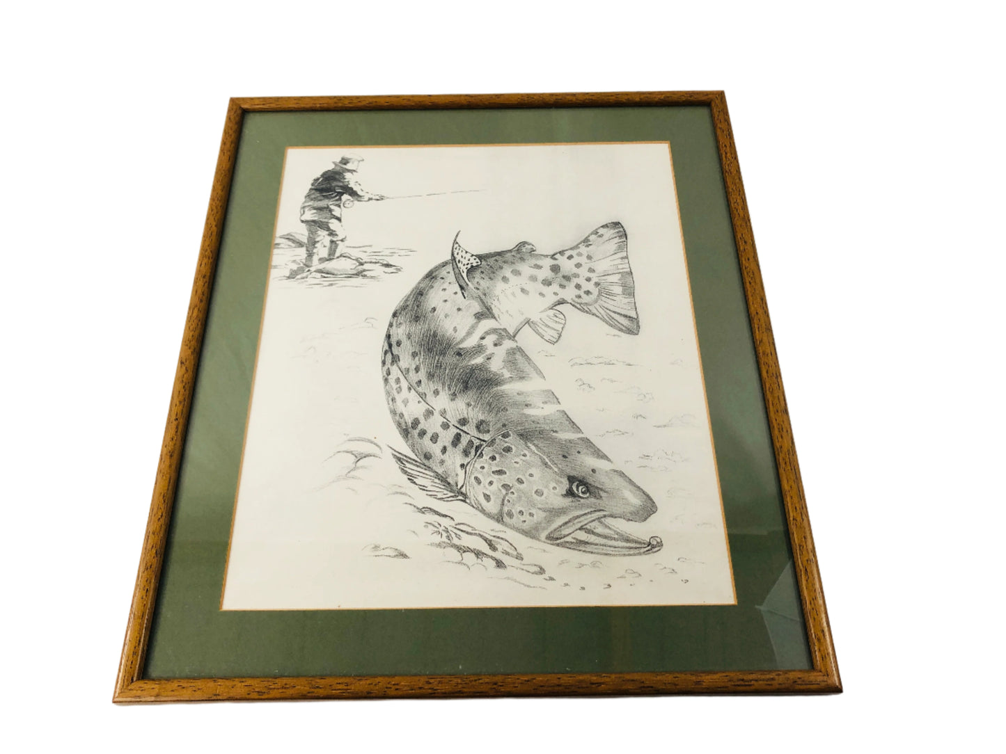 
                  
                    Framed Pencil Print - Trout (20638)
                  
                