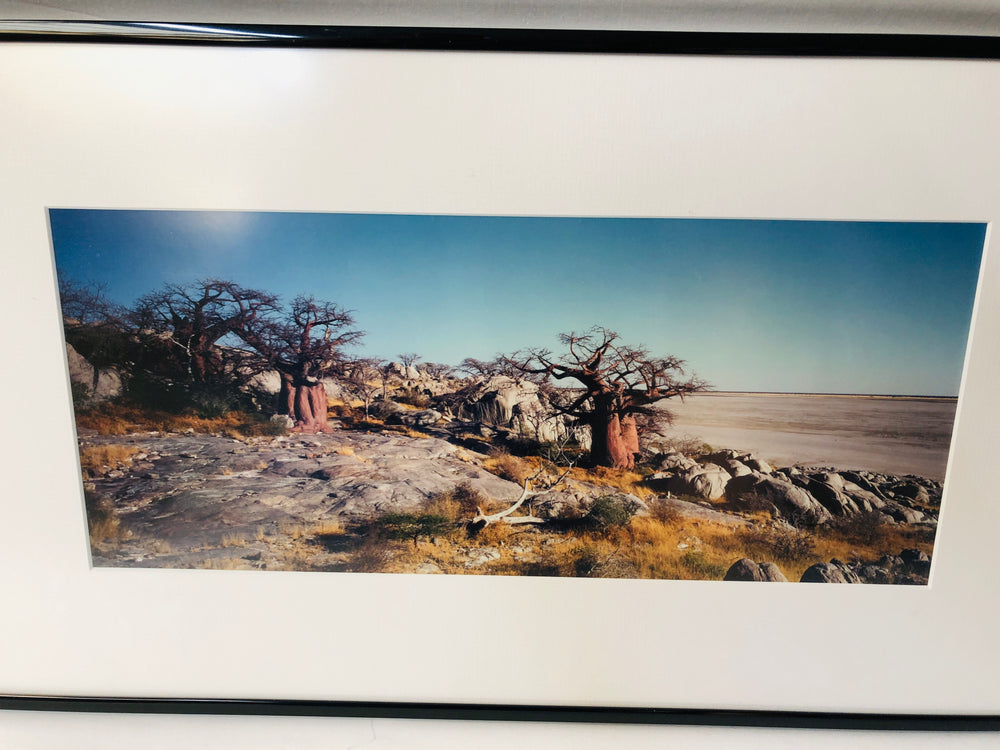 
                  
                    Framed Botswania Landscape Photo (18283)
                  
                