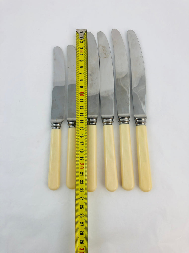 
                  
                    Grosvenor - Bone Handle Knives (21315)
                  
                
