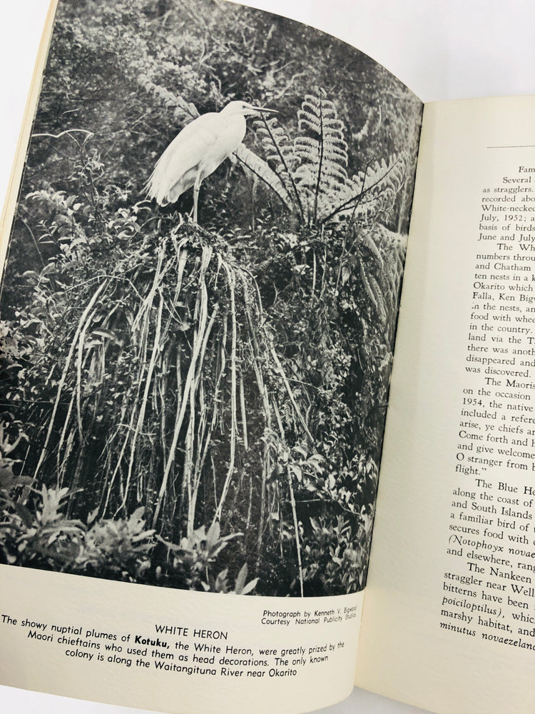 
                  
                    Birds of New Zealand - Alfred Bailey (21576)
                  
                
