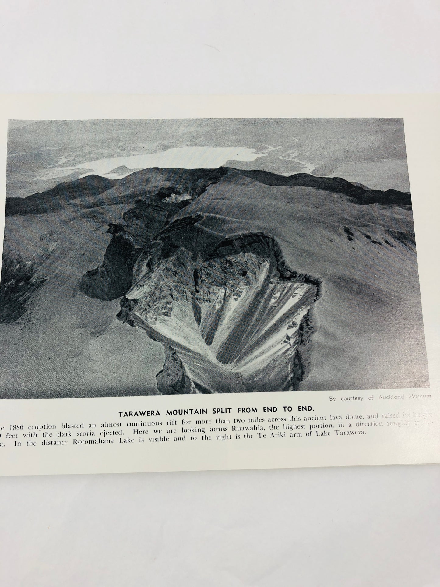 
                  
                    Book of Tarawera Eruption - R.F.Keam, M.Sc./ B.a (21581)
                  
                