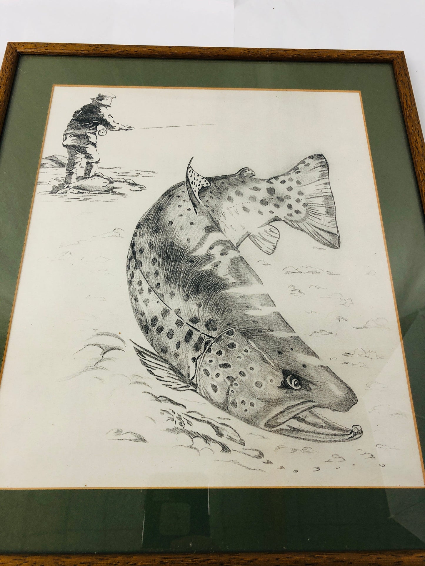
                  
                    Framed Pencil Print - Trout (20638)
                  
                