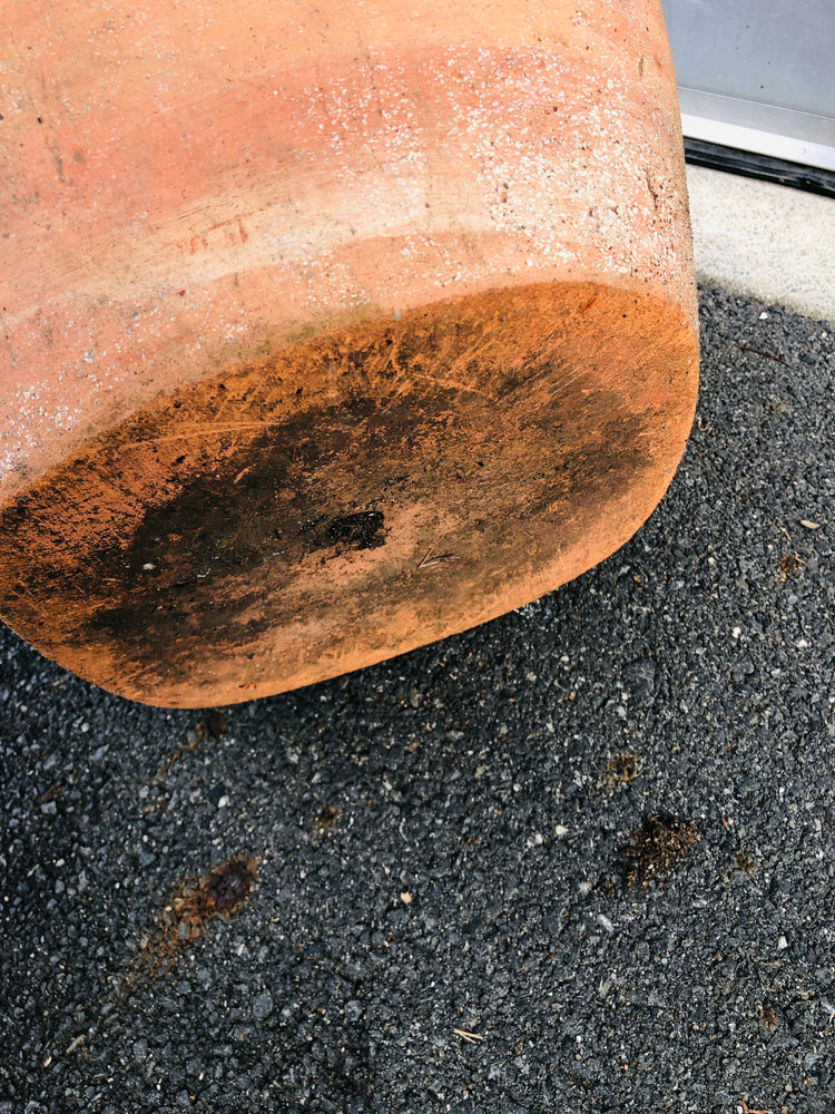 
                  
                    Terracotta Pot (20943)
                  
                