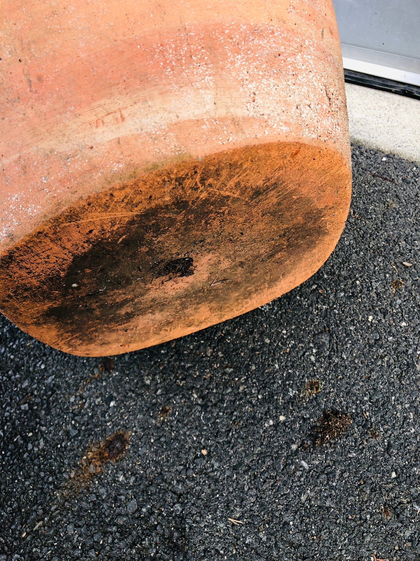 
                  
                    Terracotta Pot (20943)
                  
                