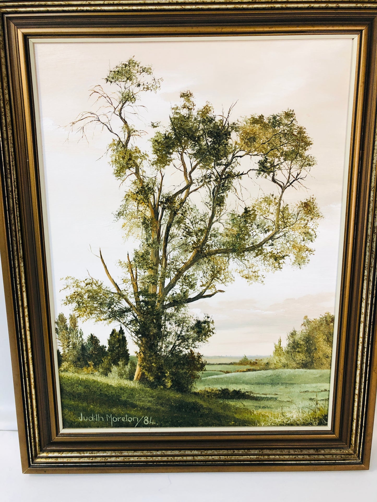 
                  
                    Judith Moreton - Gum Tree Mangaiti - Te Aroha - Framed Oil (18285)
                  
                