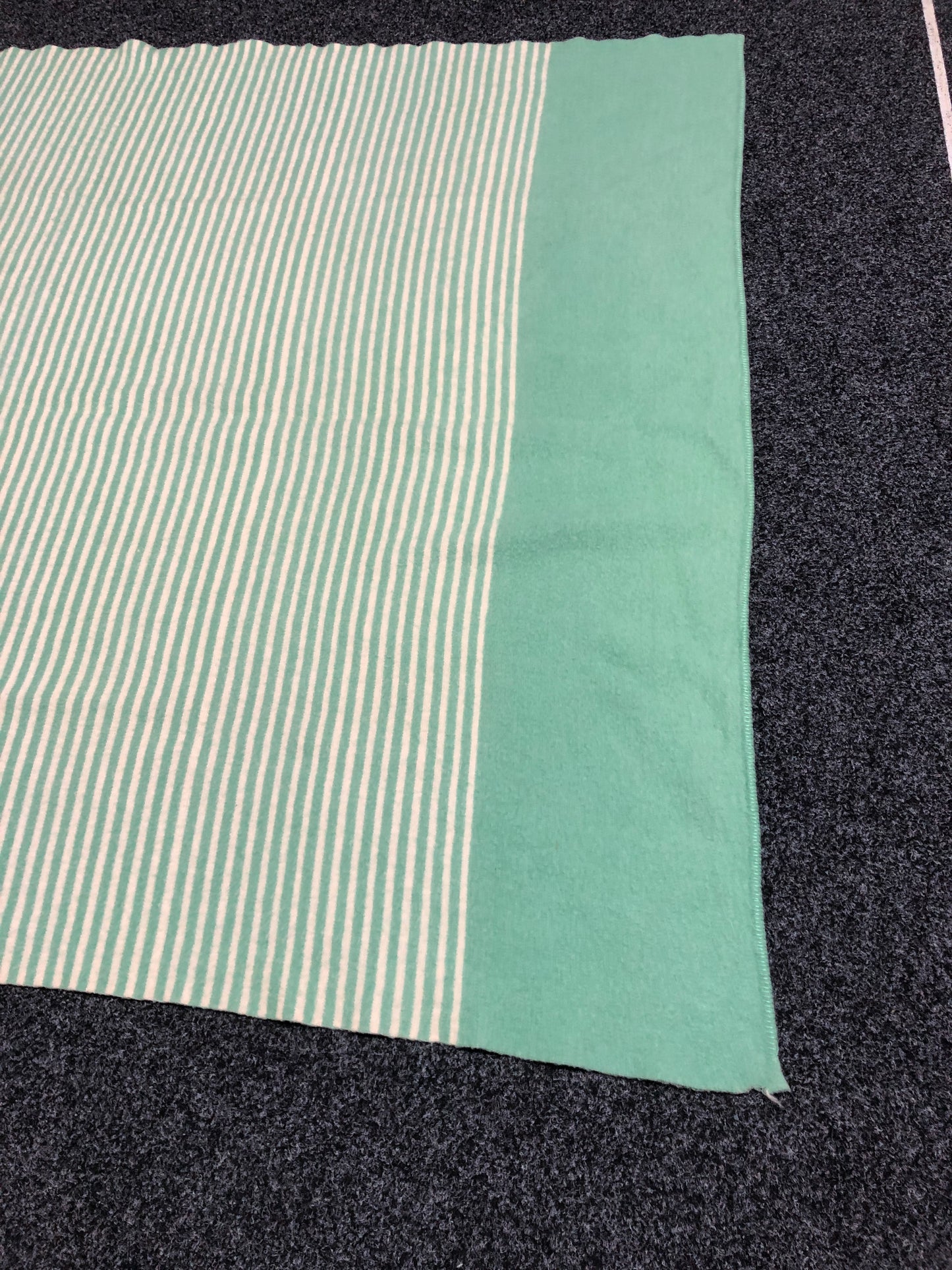 
                  
                    Robinwul 100% Wool Blanket - Single (21406)
                  
                