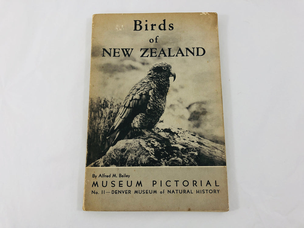 Birds of New Zealand - Alfred Bailey (21576)