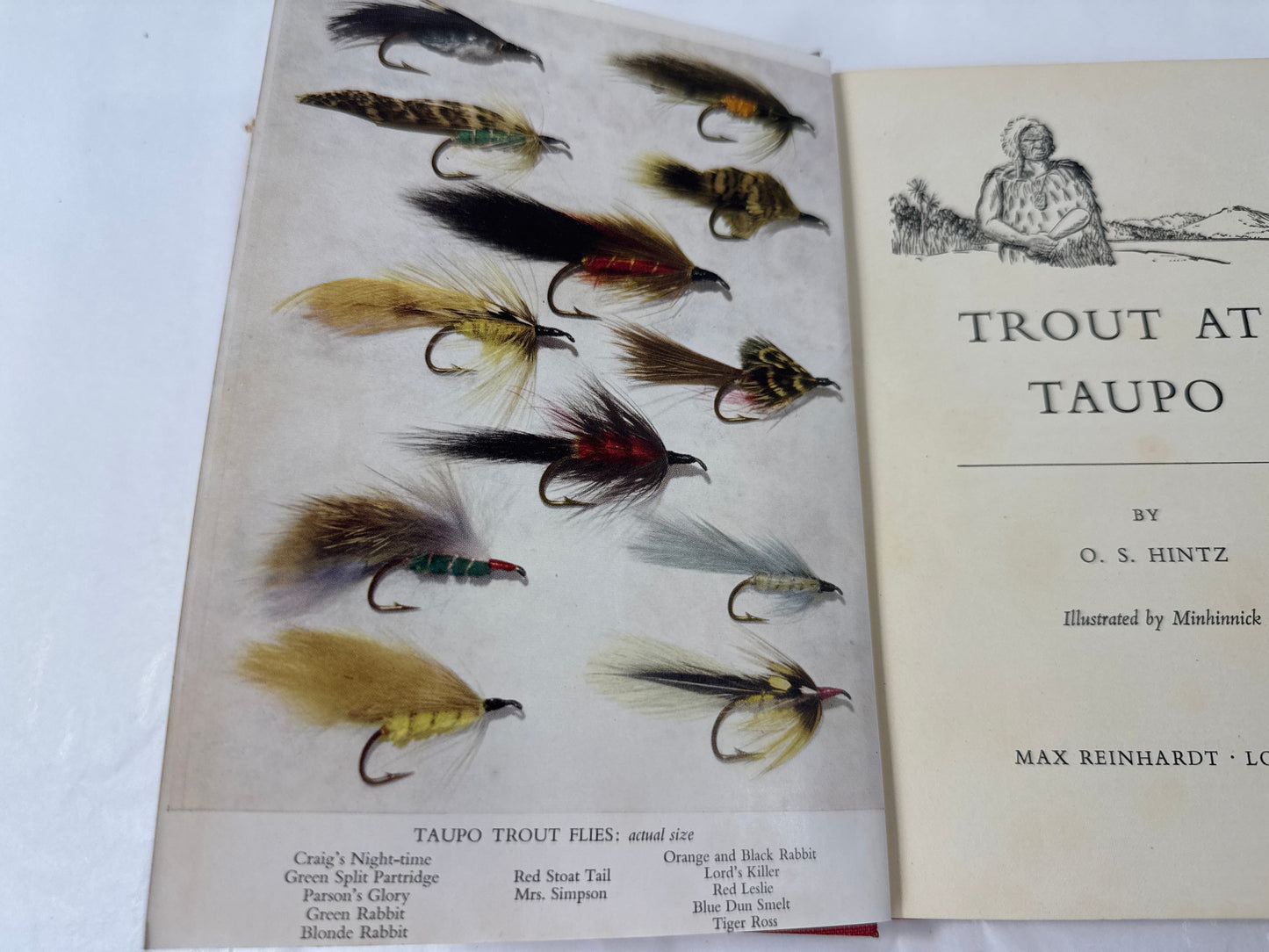 
                  
                    Trout at Taupo by O. S. Hintz (19363)
                  
                