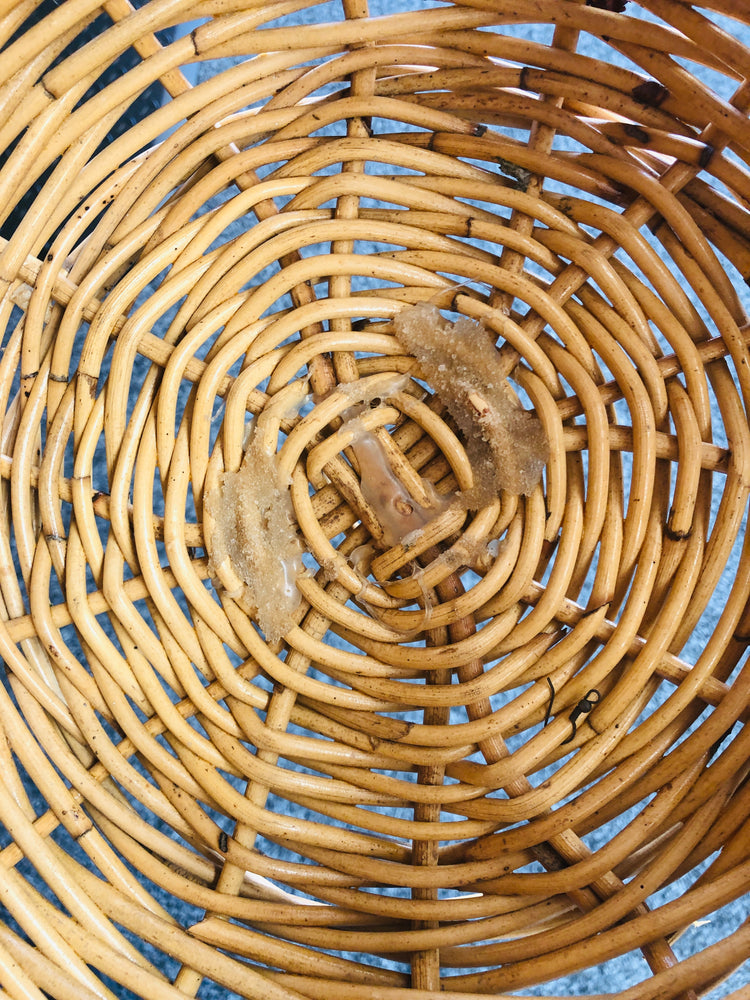 
                  
                    Large Cane Baskets x2 (21741)
                  
                