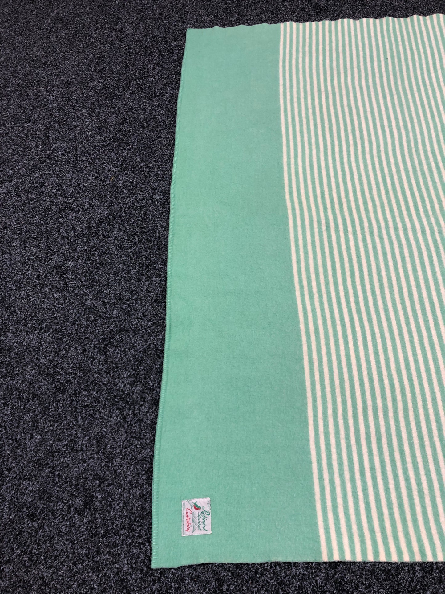 
                  
                    Robinwul 100% Wool Blanket - Single (21406)
                  
                