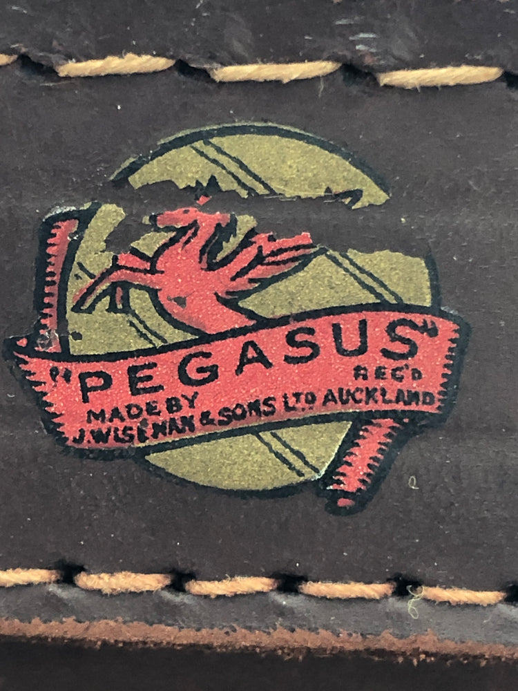 
                  
                    Vintage Pegasus - Hard shell Suitcase - NZ  (20408)
                  
                
