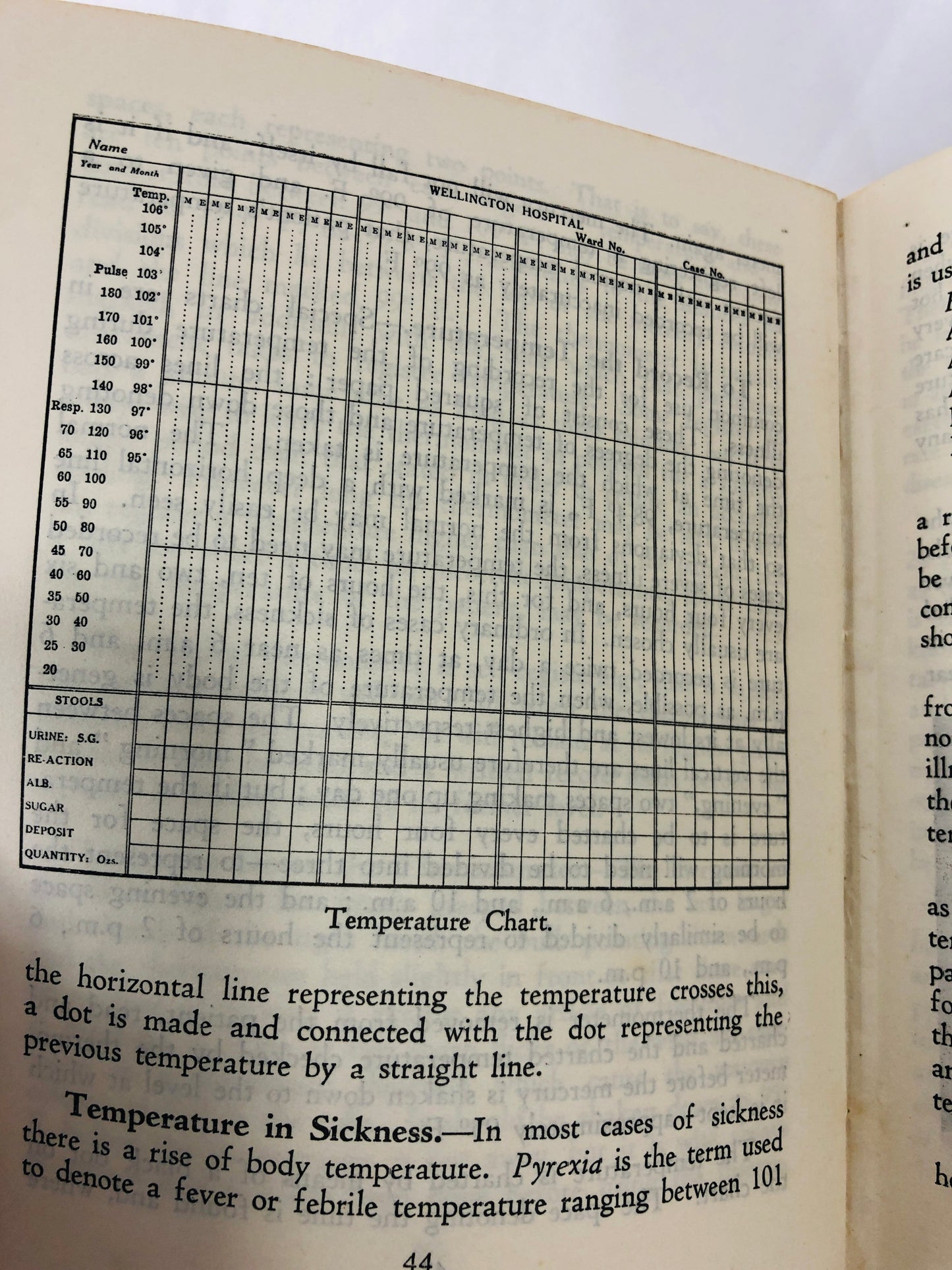 
                  
                    New Zealand Picket Size RED CROSS Home Nursing Manual ( 21579)
                  
                