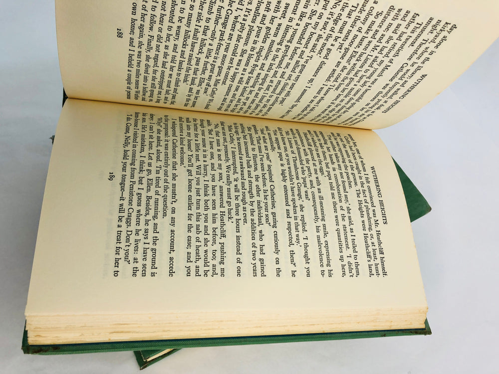 
                  
                    Jane Eyre / Wuthering Heights - Bronte Sisters (21253)
                  
                