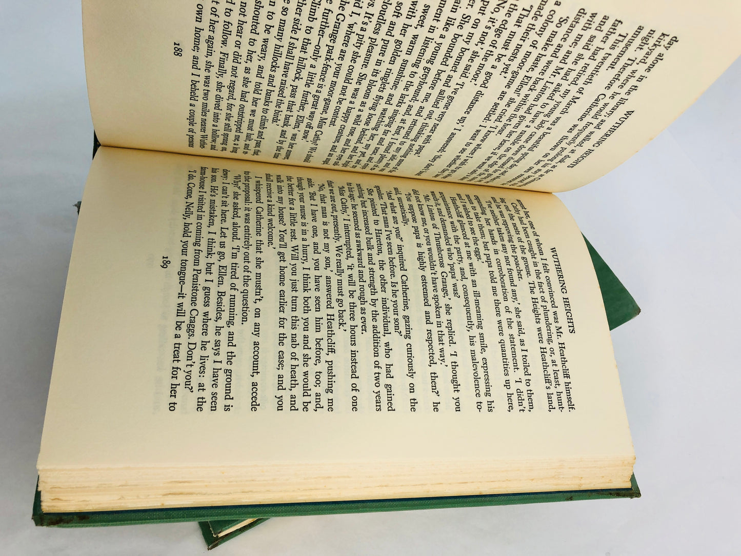 
                  
                    Jane Eyre / Wuthering Heights - Bronte Sisters (21253)
                  
                