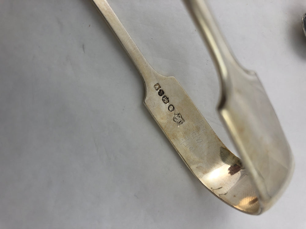 
                  
                    Silver Plate Sugar Cube Tongs (19257)
                  
                