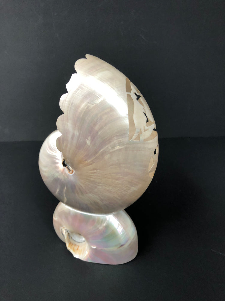
                  
                    Pearl Carved Conch Shell - Australian (15139)
                  
                