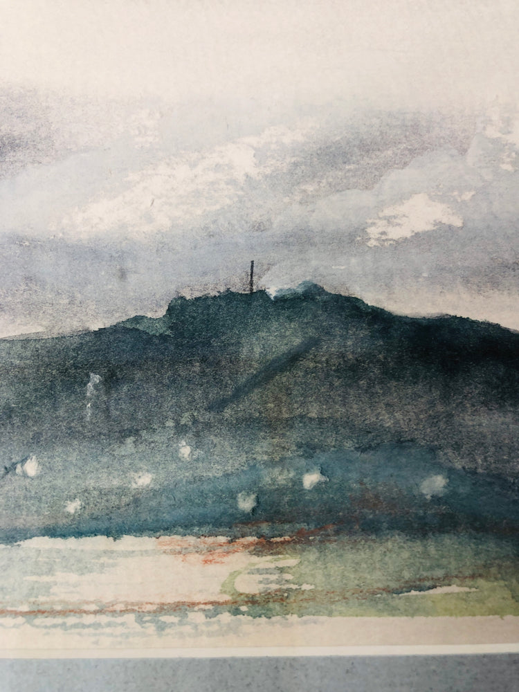 
                  
                    Kopukairua - Welcome Bay Hill Painting (15306)
                  
                