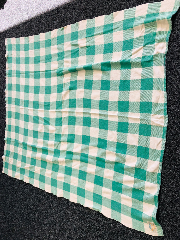 
                  
                    Green/Cream Petone Wool Blanket Craft or Pet (17296)
                  
                