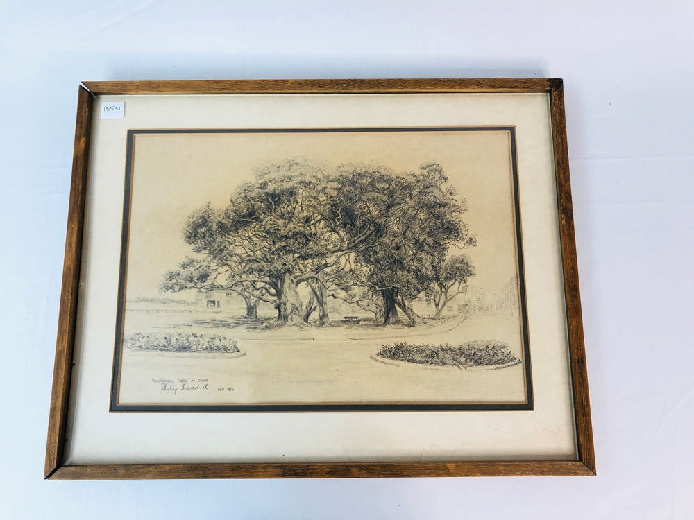 
                  
                    Pencil Drawing Pohutaka Trees at Ohope by Phillip Shaddick 1984 (15531
                  
                