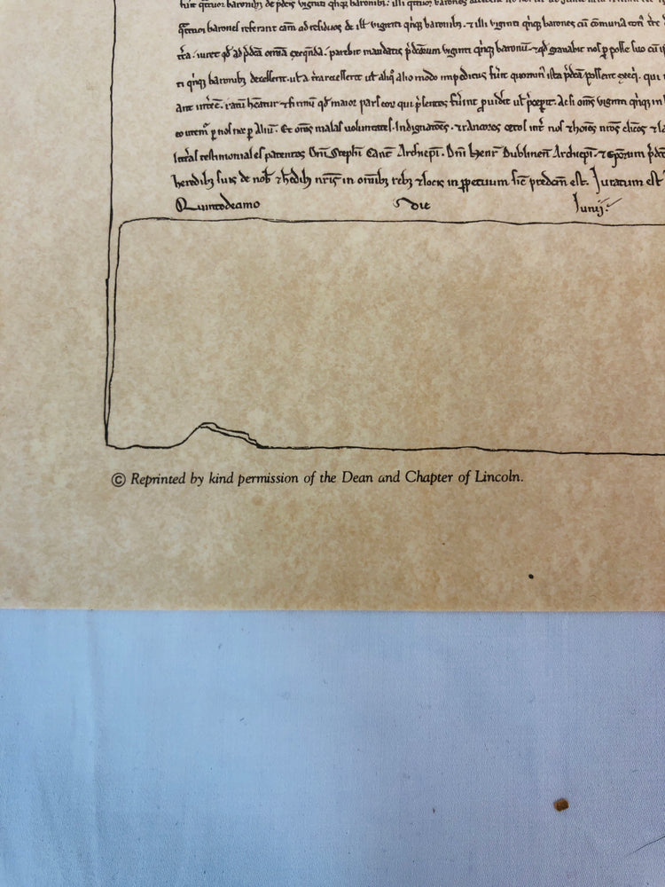 
                  
                    Large Magna Carta Poster Set with Translation (15544)
                  
                