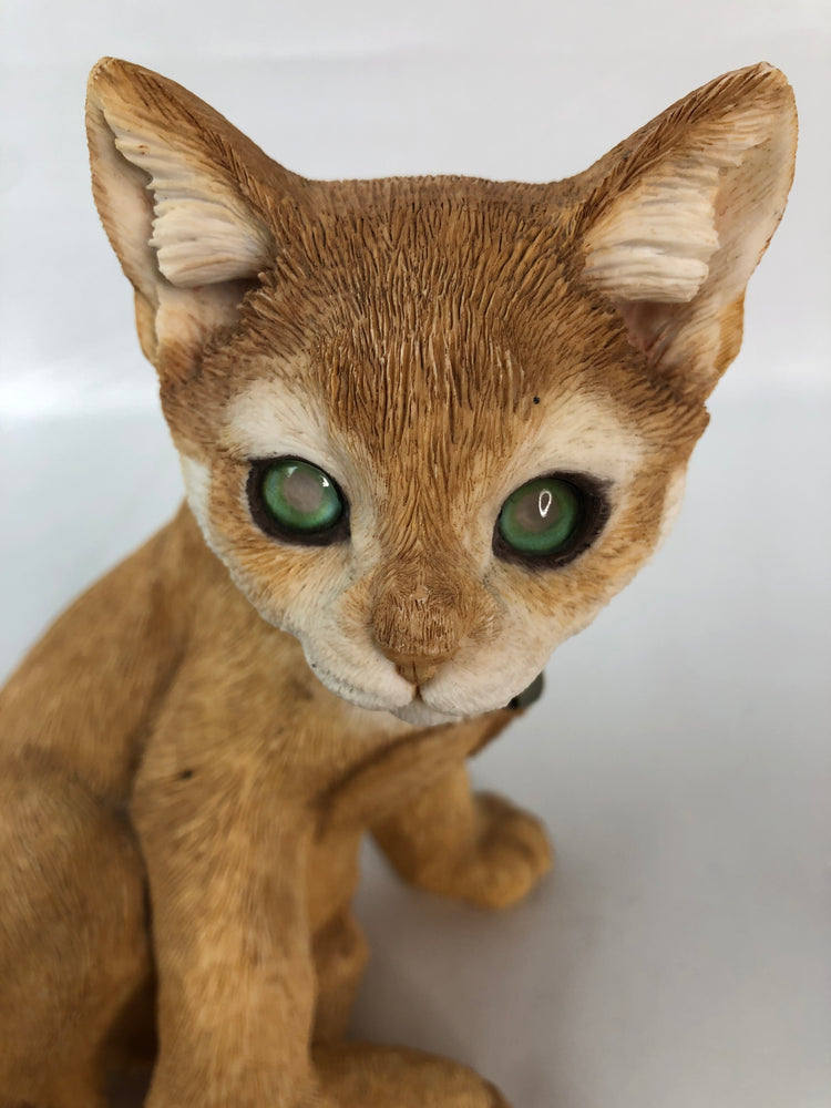 
                  
                    Hand Painted Ginger Kitten 03015 (15593)
                  
                