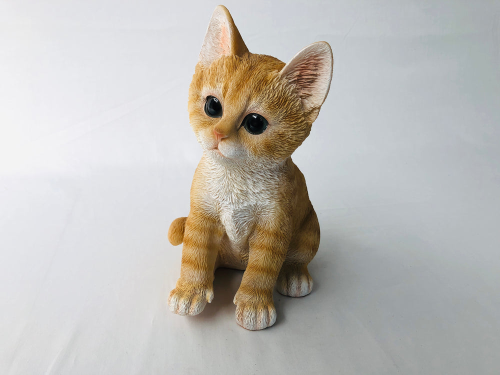 
                  
                    Ginger Kitten - Sitting (15744)
                  
                