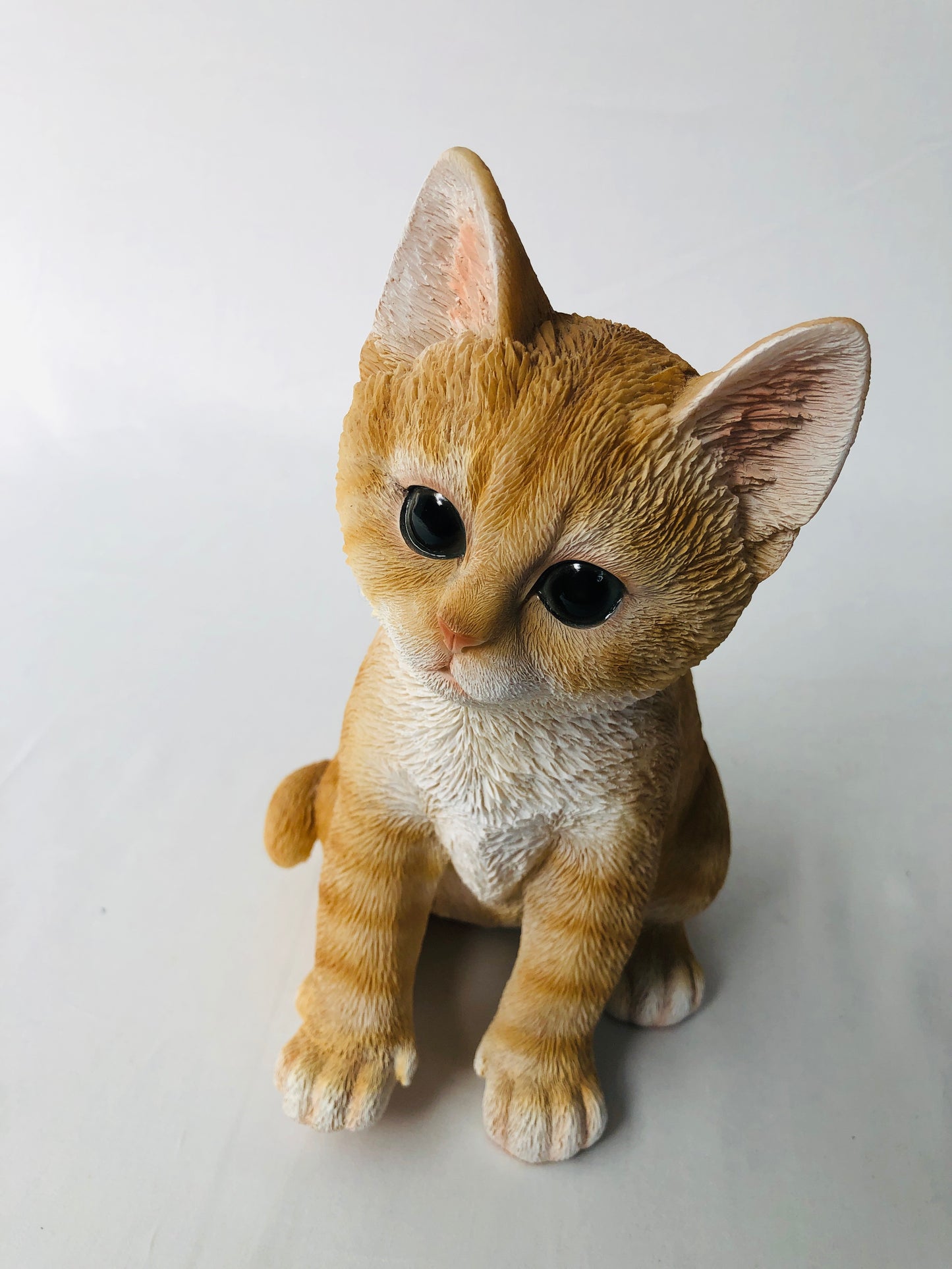 
                  
                    Ginger Kitten - Sitting (15744)
                  
                