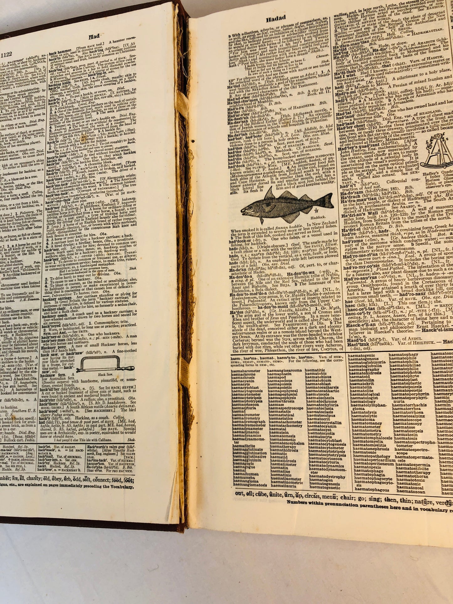 
                  
                    Websters New International Dictionary - Second Edition (15939)
                  
                