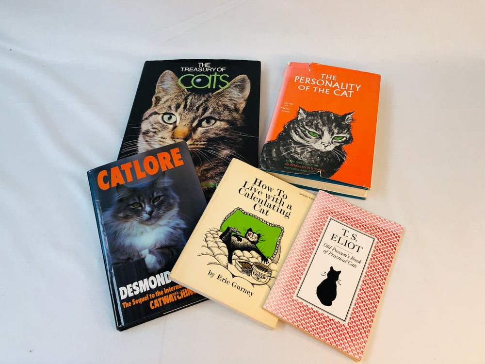 
                  
                    BULK x 5 Books on CATS! (15941)
                  
                