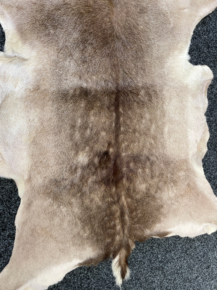 
                  
                    White Spotted Deer Hide Rug (15824)
                  
                