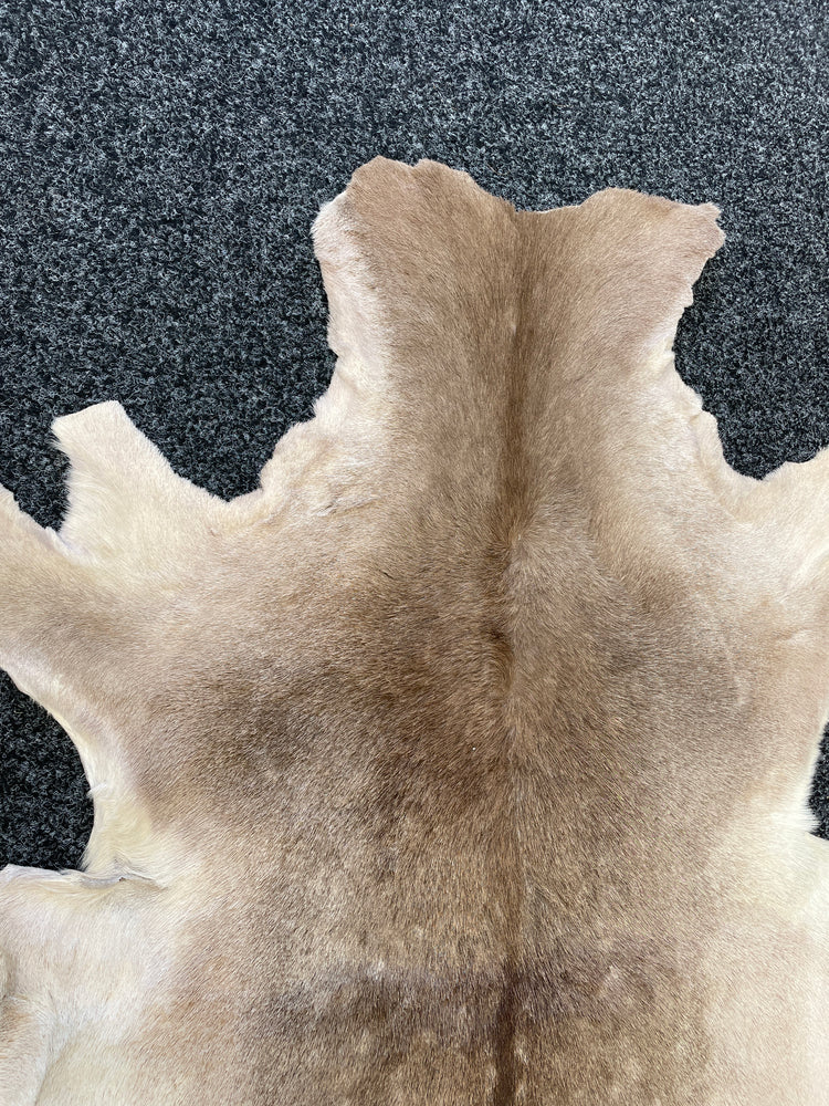 
                  
                    White Spotted Deer Hide Rug (15824)
                  
                