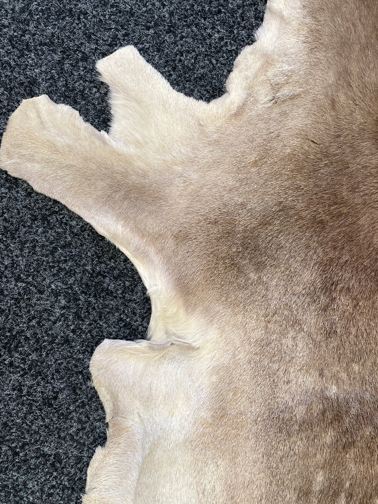 
                  
                    White Spotted Deer Hide Rug (15824)
                  
                