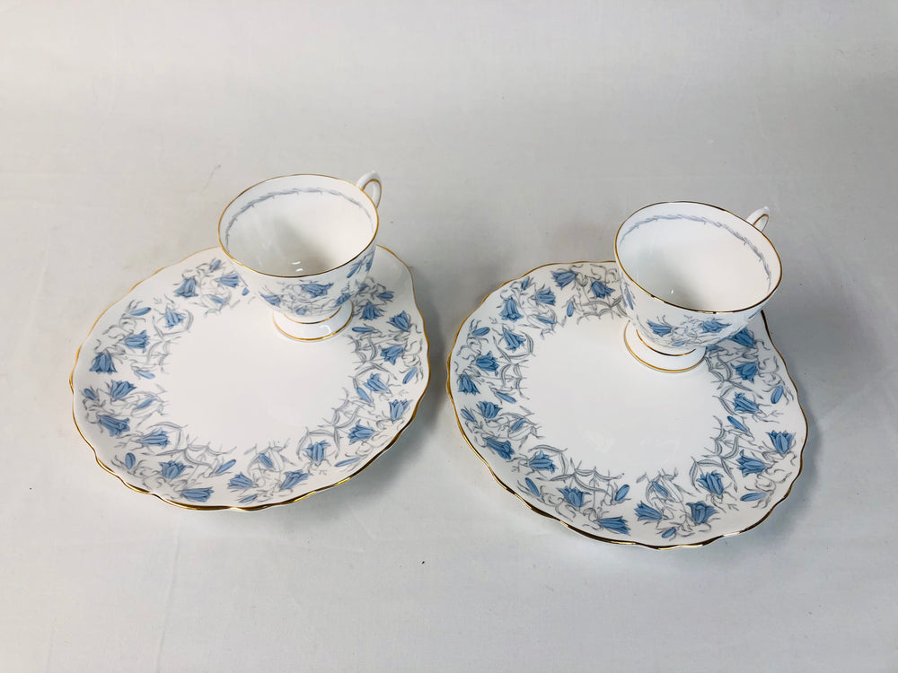 
                  
                    Tuscan -  Bone china Teacup and Luncheon Plates (16035)
                  
                