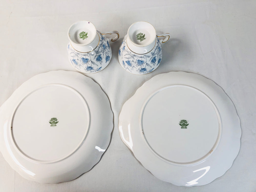 
                  
                    Tuscan -  Bone china Teacup and Luncheon Plates (16035)
                  
                