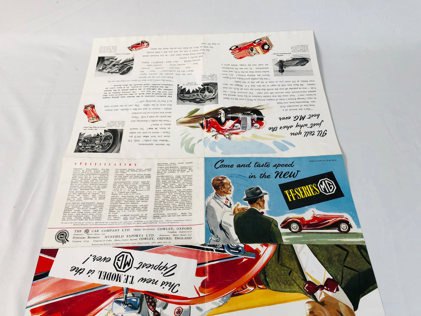 
                  
                    MG TF Midget Roadster (1953-1955) Sales Poster / Brochure (15954)
                  
                