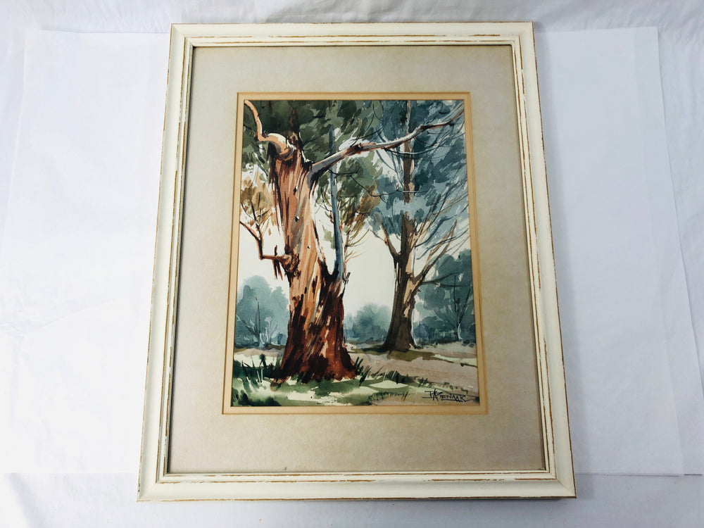 Trees - Framed Water Colour - P Pienaar (21842)