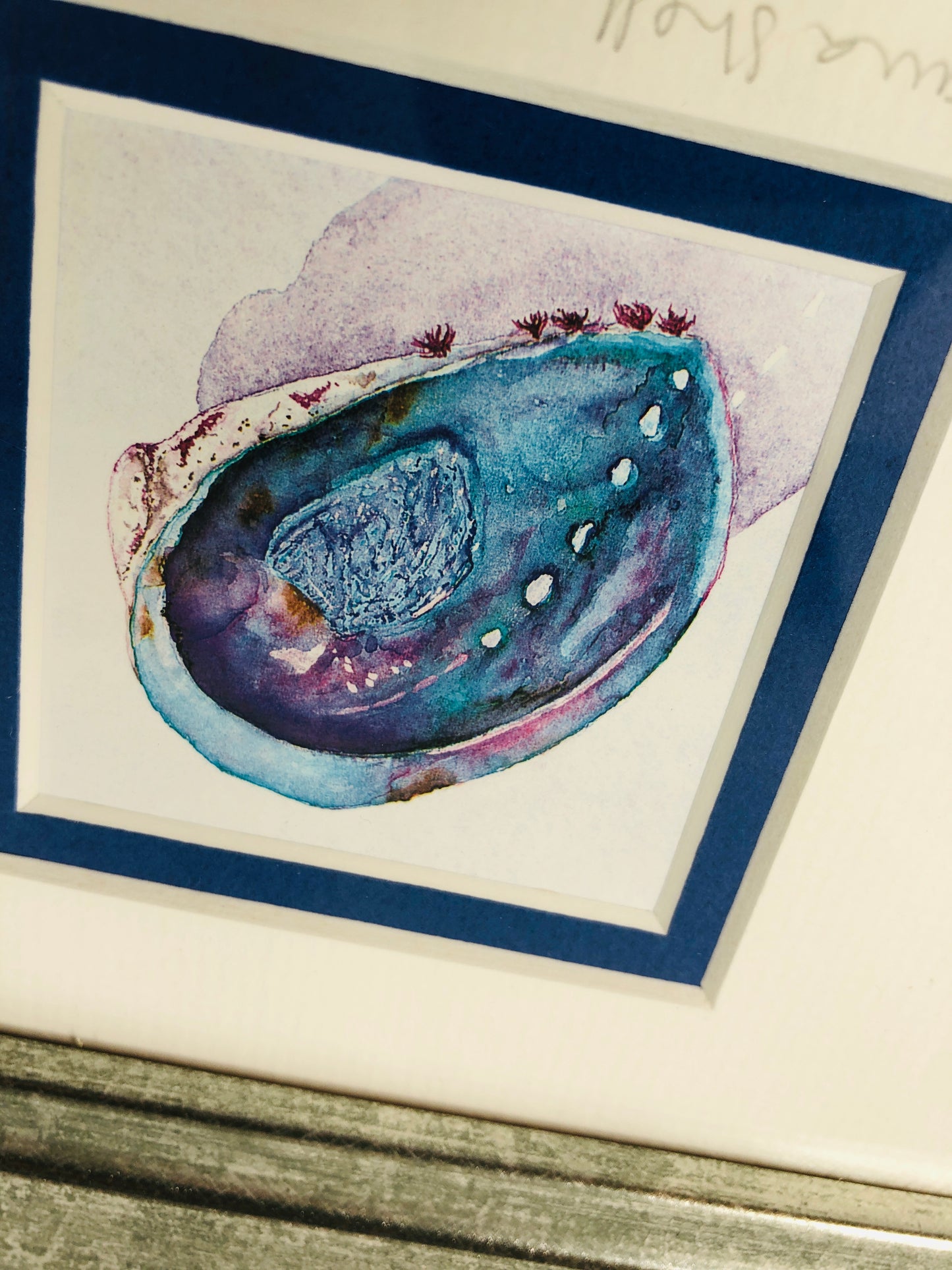 
                  
                    2 x "Paua" Framed Water Colours - Joanne Mahoney (21849)
                  
                