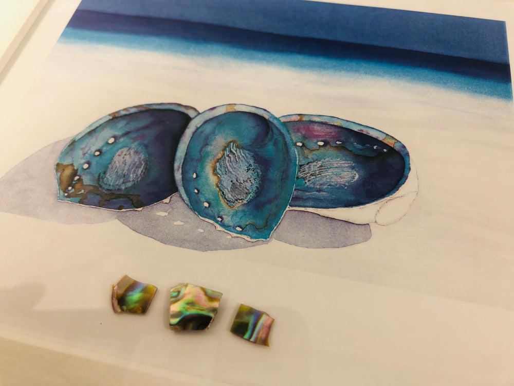 
                  
                    2 x "Paua" Framed Water Colours - Joanne Mahoney (21849)
                  
                