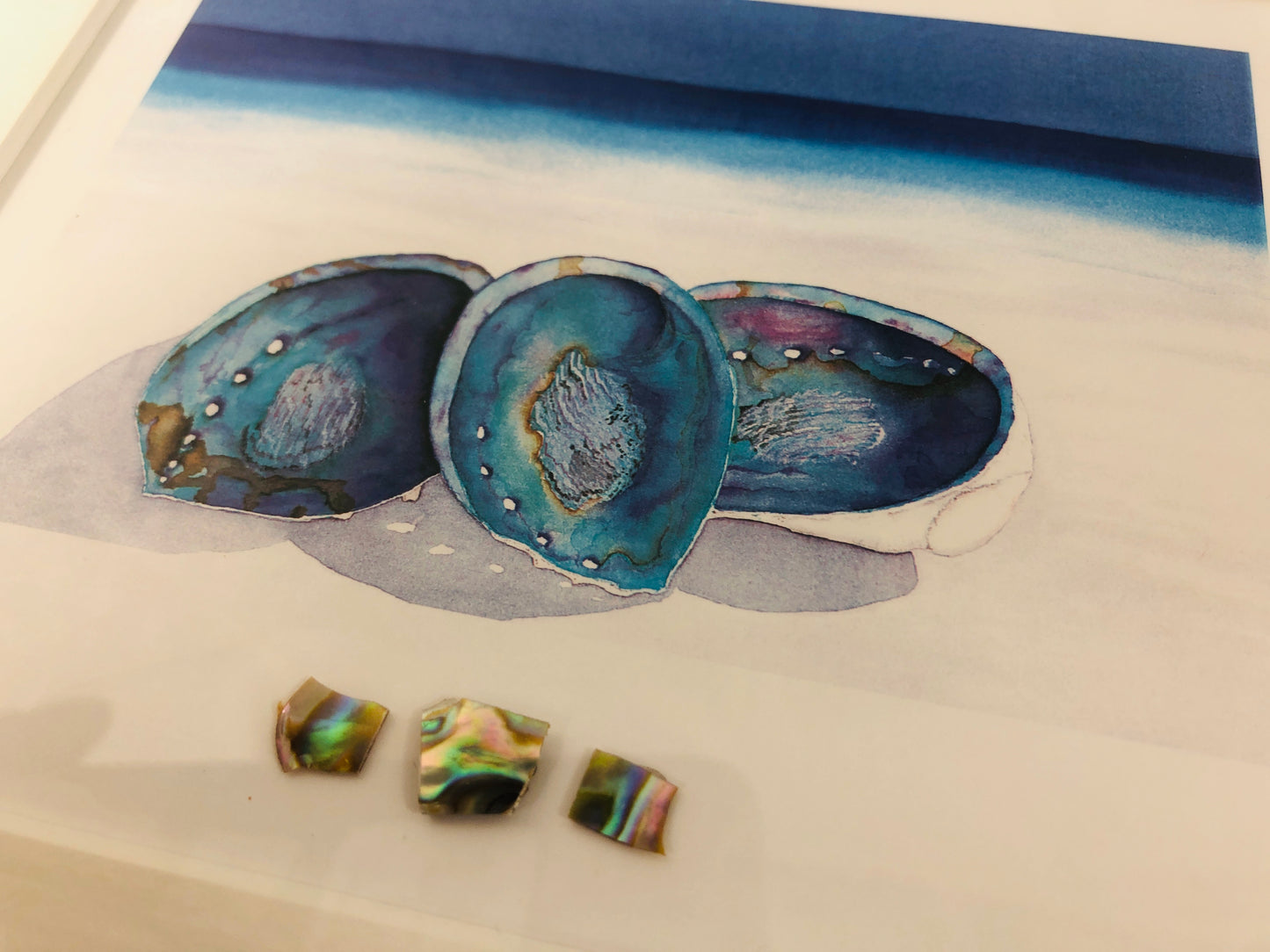 
                  
                    2 x "Paua" Framed Water Colours - Joanne Mahoney (21849)
                  
                