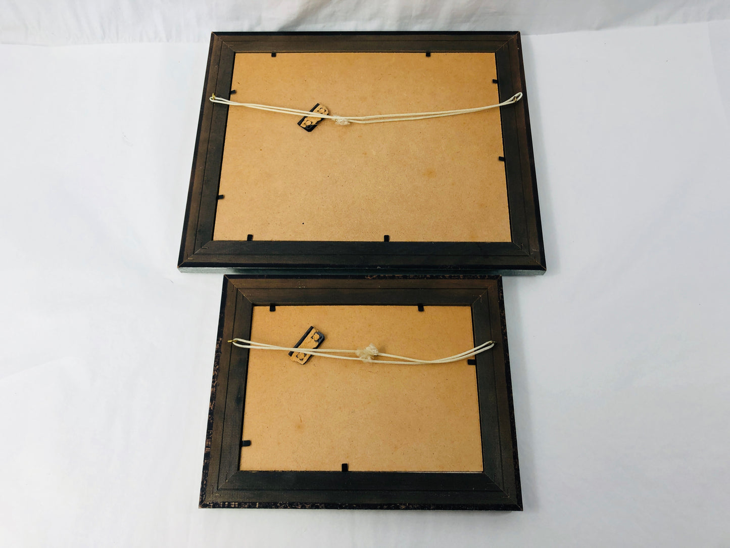 
                  
                    2 x "Paua" Framed Water Colours - Joanne Mahoney (21849)
                  
                