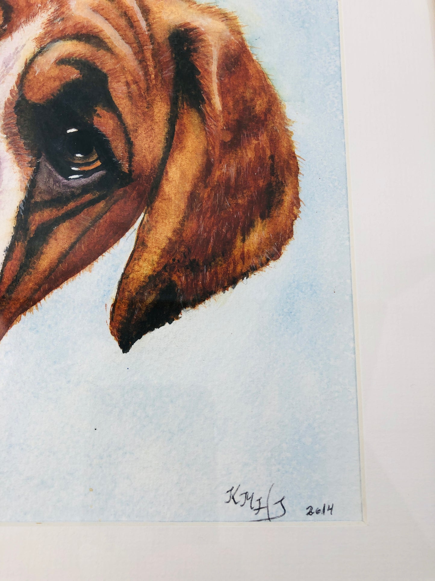 
                  
                    Boxer - Water Colour - KMJ (21843)
                  
                